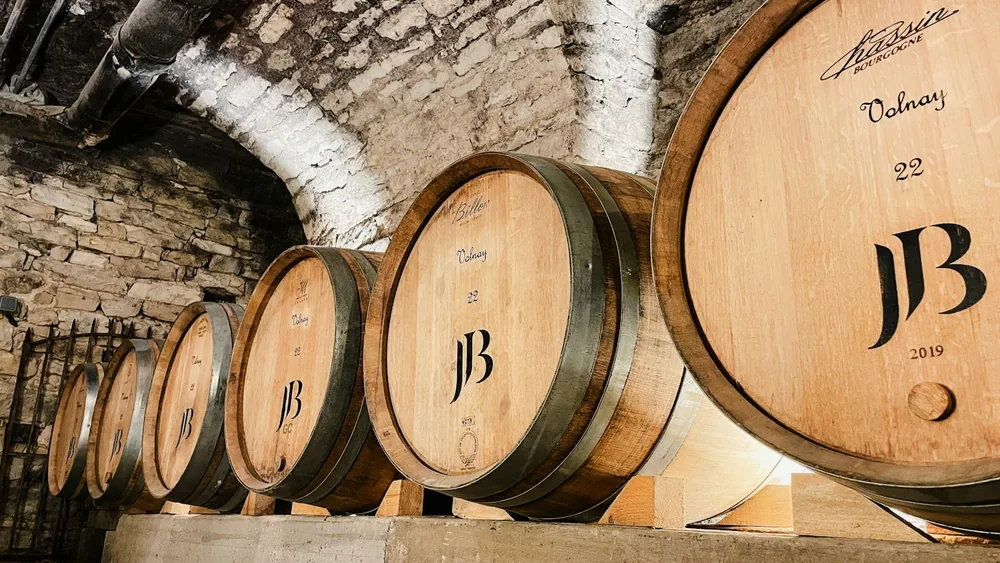 A bunch of wine barrels lined up in a cellar