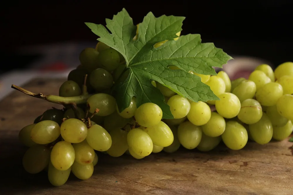 A captivating close-up photo of fresh green grapes with a grape leaf under soft lighting