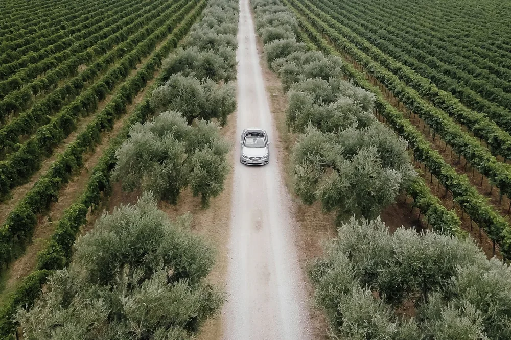 A car on a dirt road surrounded by vineyards and lush greenery viewed from above