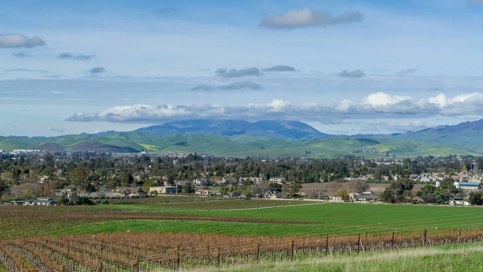 A city with mountains in the background