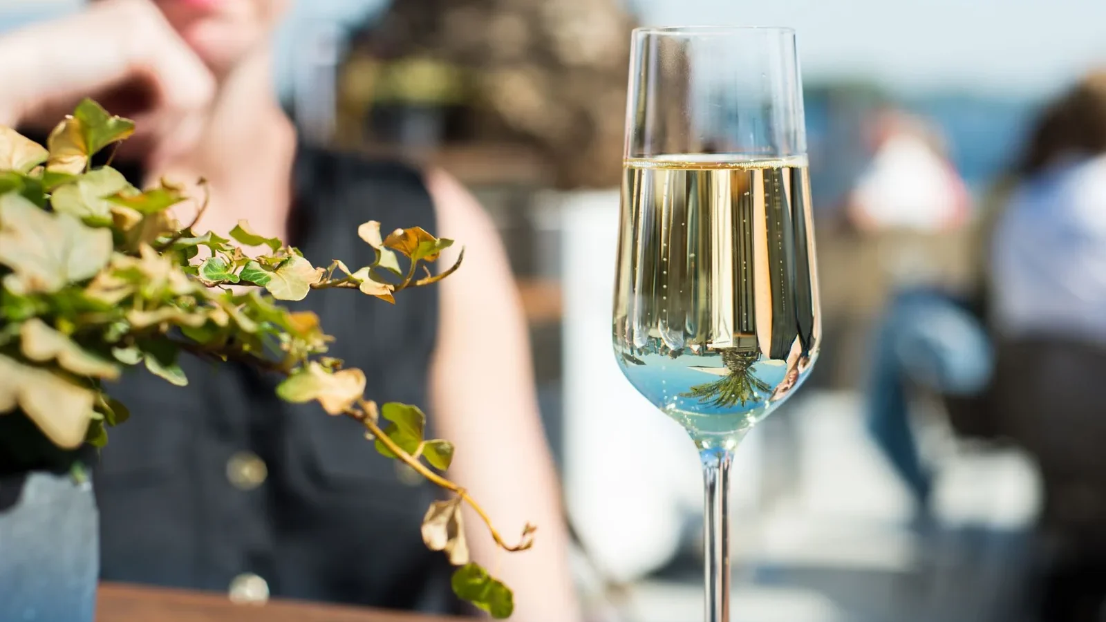 A close-up of a champagne glass on a sunny outdoor terrace with a blurred background