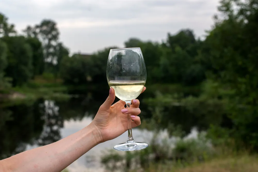 A close-up of a hand holding a wine glass filled with white wine against a serene lake backdrop