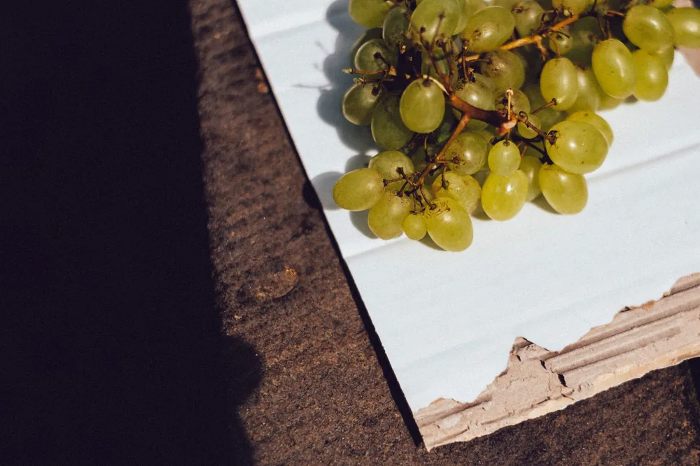A close-up of green grapes on a textured surface, highlighting freshness and simplicity