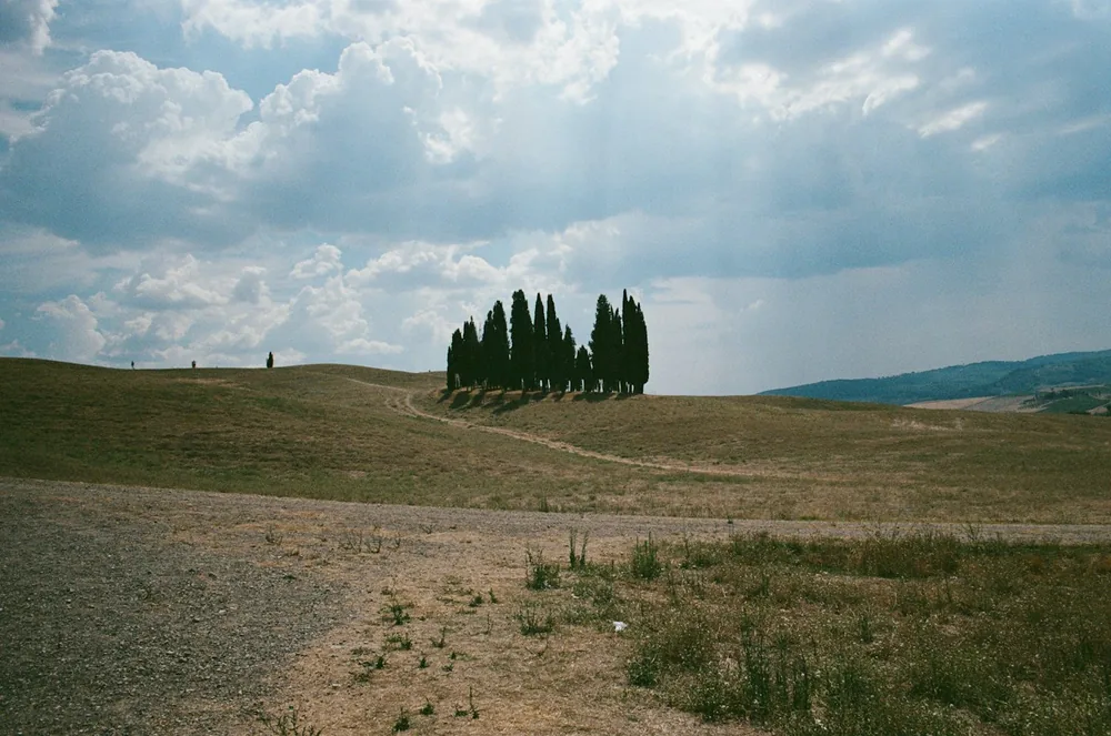 A cluster of cypress trees sits on dry rolling Tuscan farmland under dramatic clouds