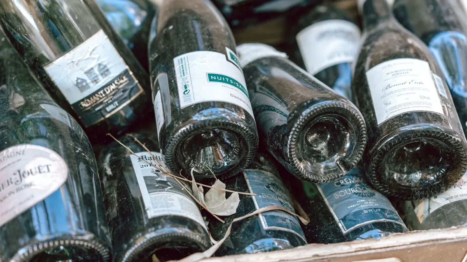 A collection of empty wine and champagne bottles in a case, ready for recycling