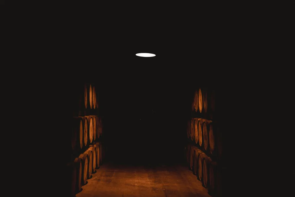 A dark wine cellar with stacked barrels under moody lighting