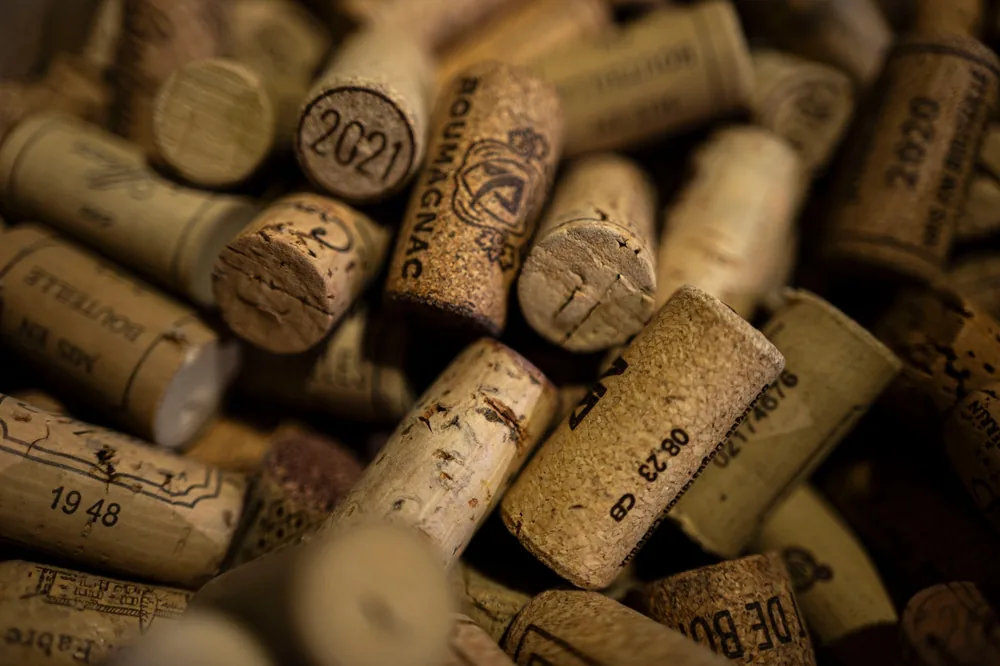 A detailed close-up of various wine corks, showcasing different vintages and textures