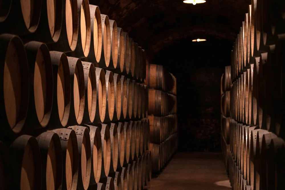 A dimly lit wine cellar filled with wooden barrels in an atmospheric setting