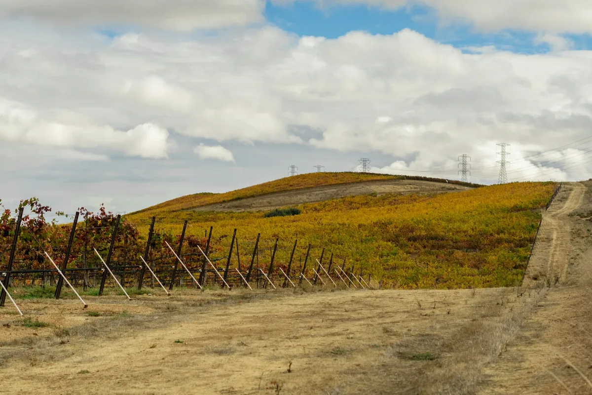 A dirt road with a fence and a hill in the background