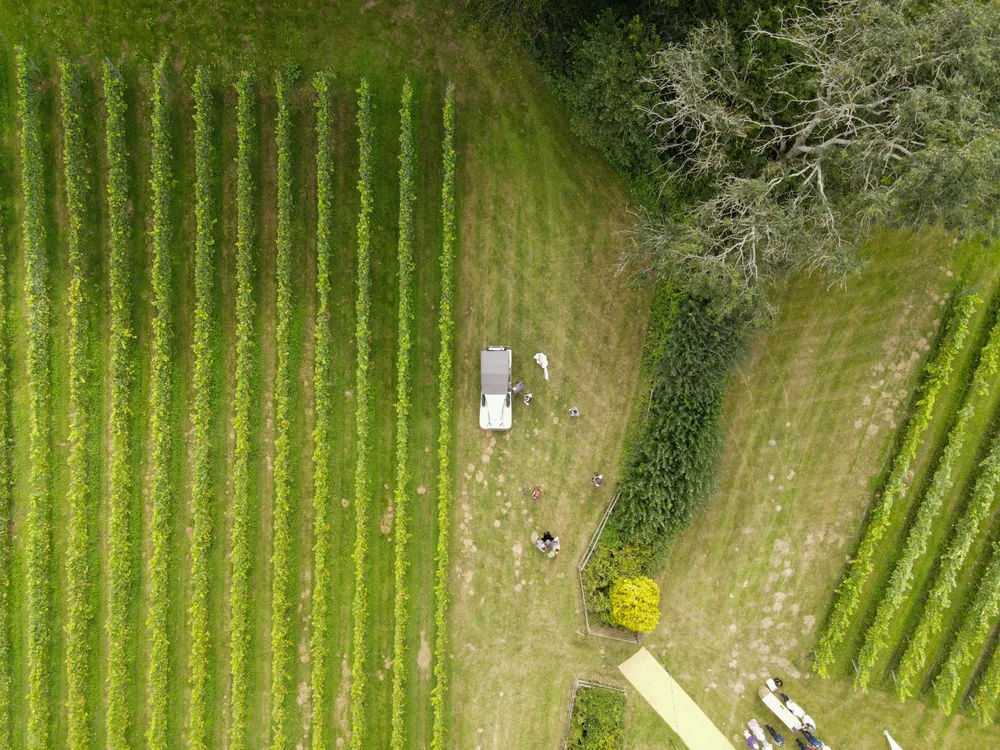 A drone shot capturing a vineyard with vehicle and people from above