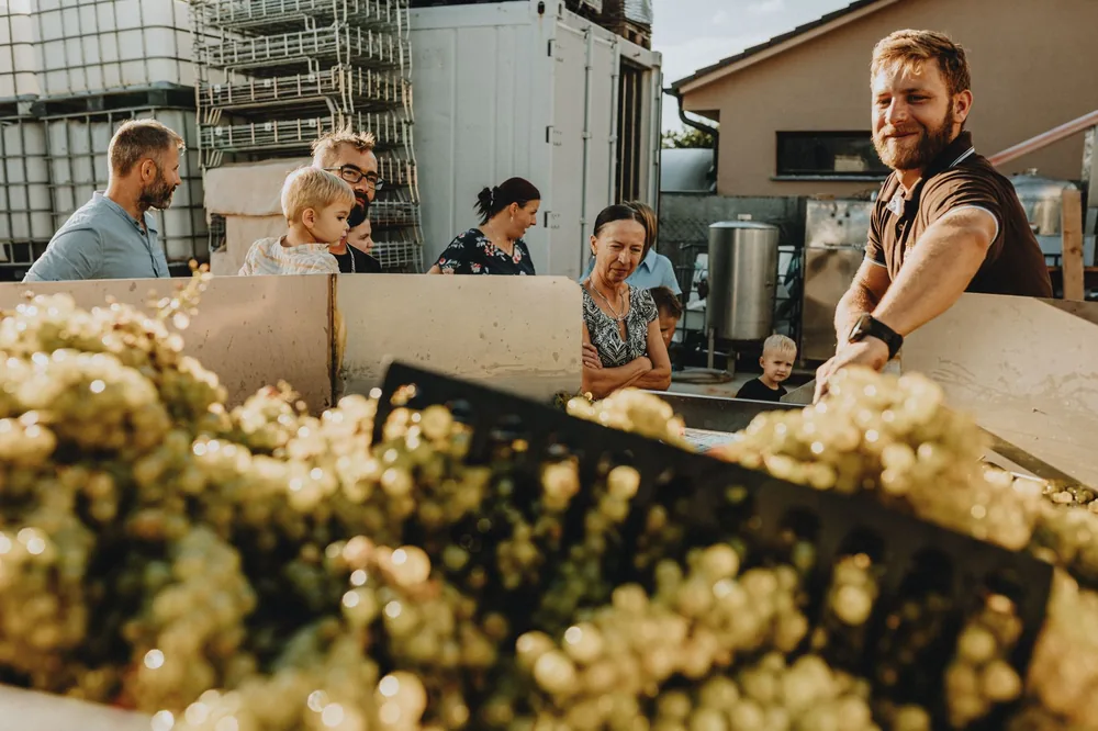 A family watches grapes being processed at a winery on a sunny day