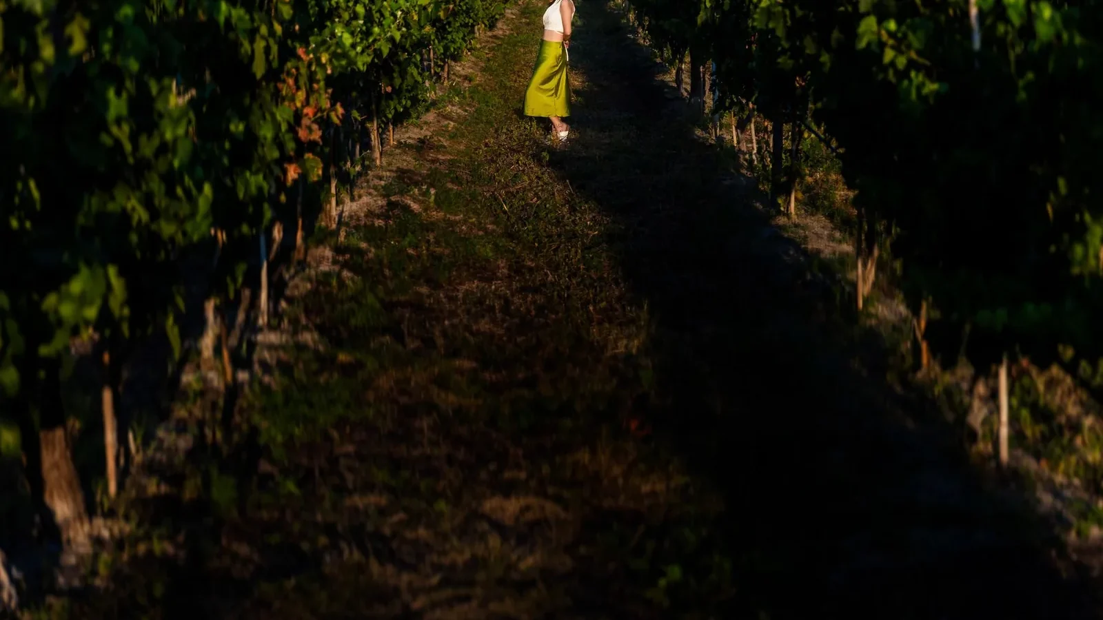 A fashionable young woman poses confidently among vineyard rows under the golden setting sun