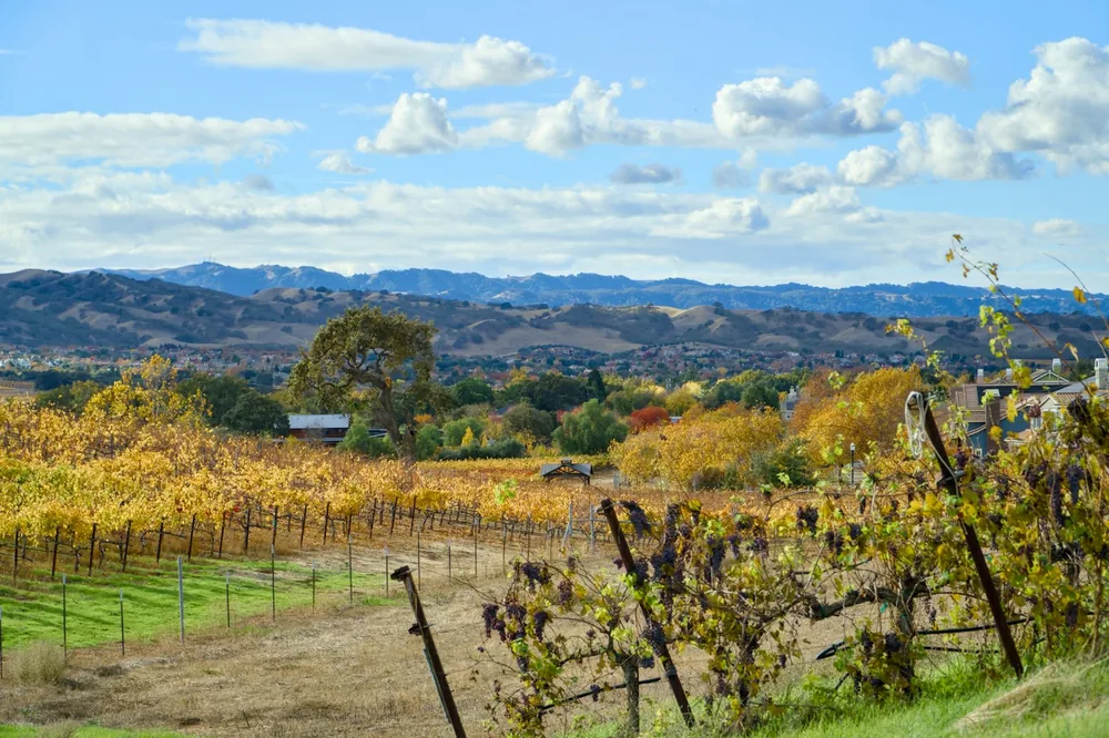 A field with a fence and mountains in the background