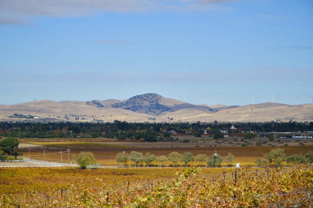 A field with a mountain in the background