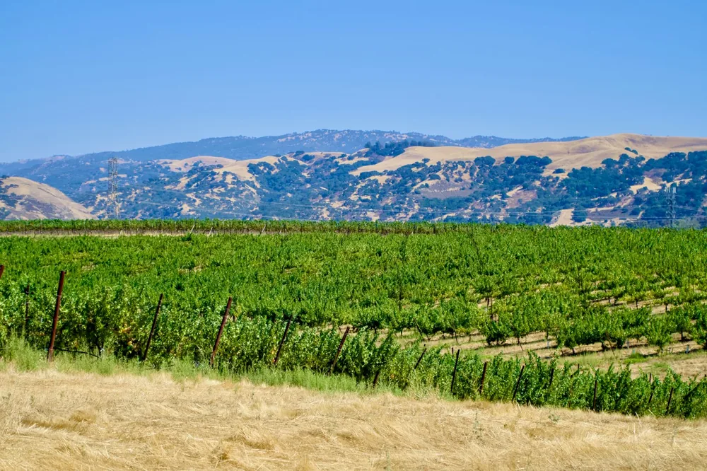 A field with mountains in the background