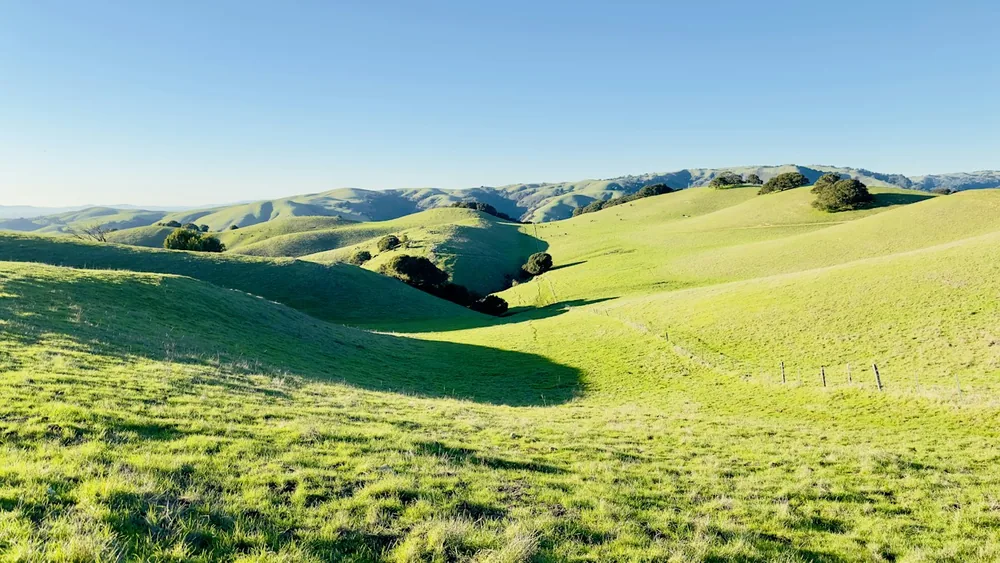 A grassy field with hills in the background