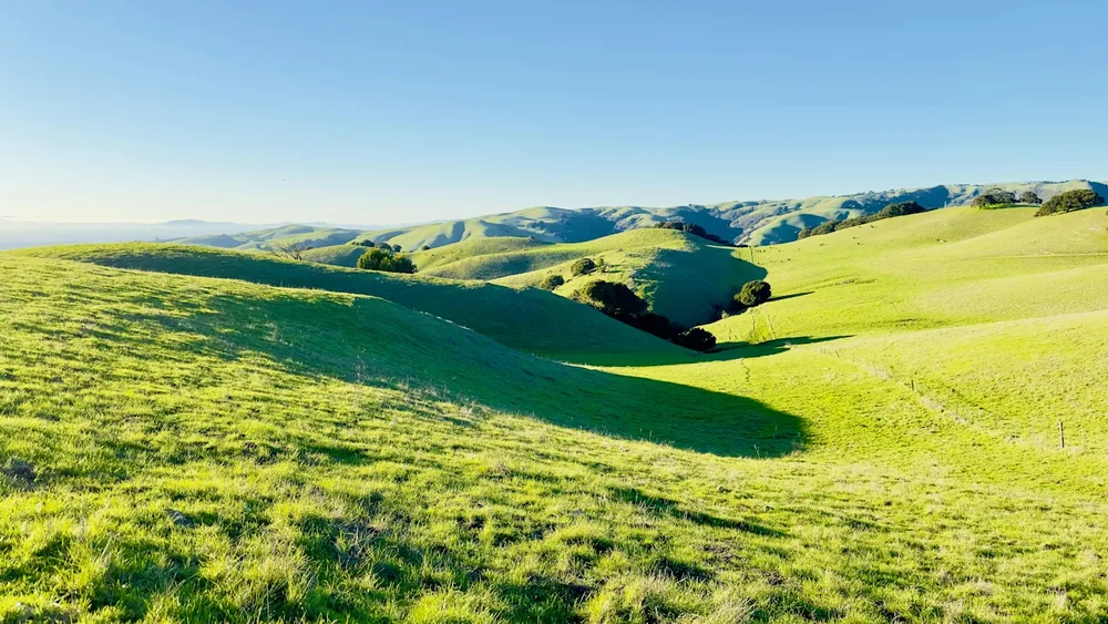 A grassy field with hills in the background