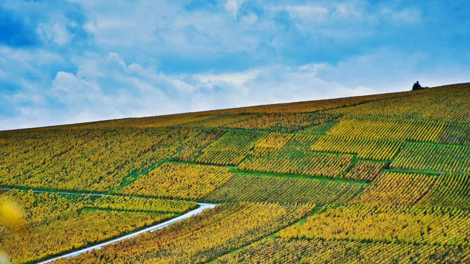 A grassy hill with a river running through it