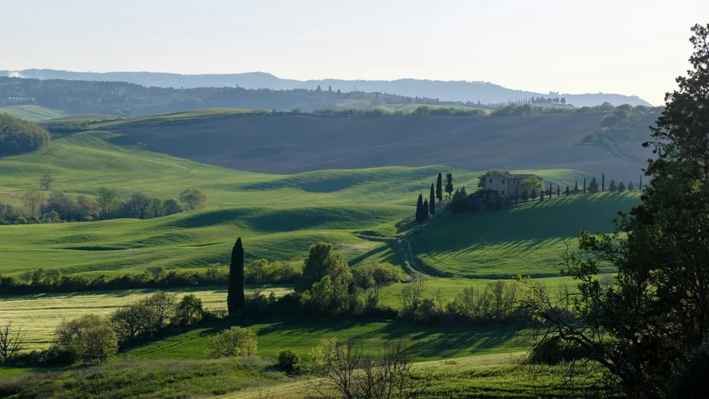 A green field with trees and hills in the background