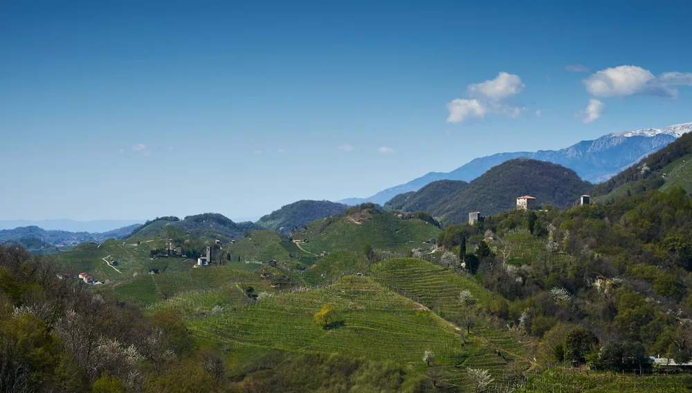 A green valley with mountains in the background