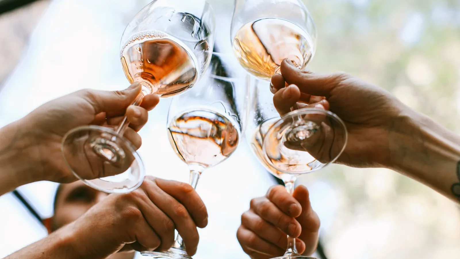 A group of friends toasting with wine glasses in a joyful outdoor celebration