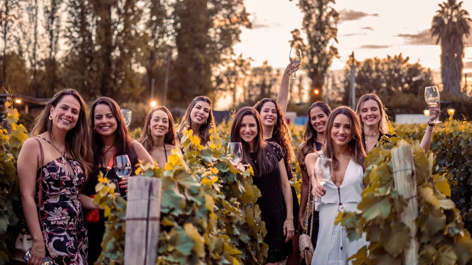A group of women enjoying a celebratory moment with wine in a vineyard at sunset