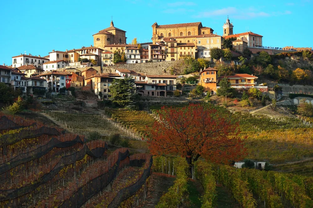 A hillside town with vineyards in autumn, showcasing classic architecture