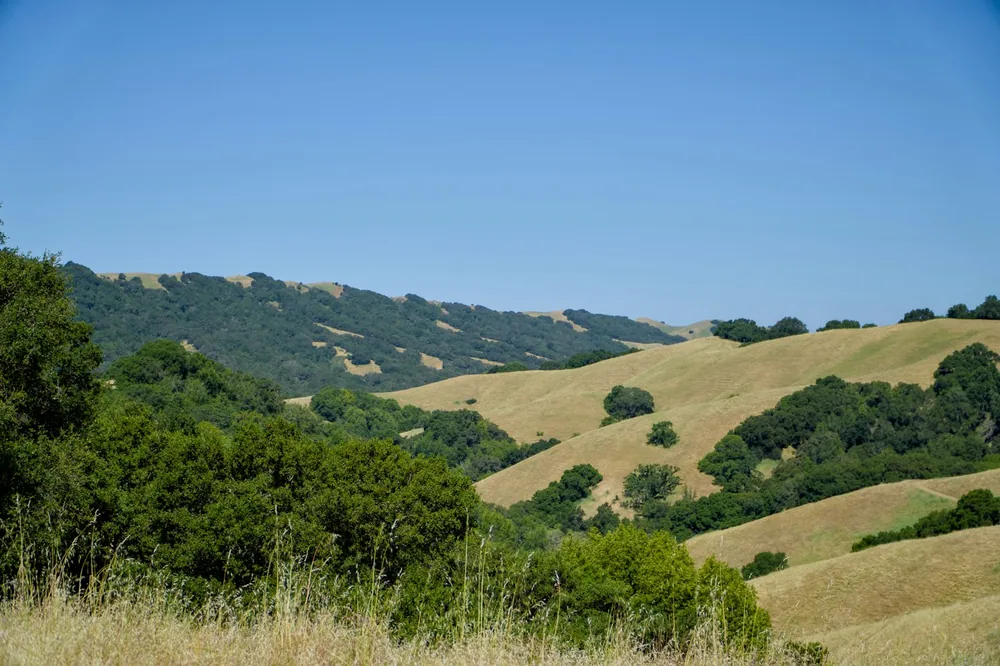 A hilly area with trees and hills in the background