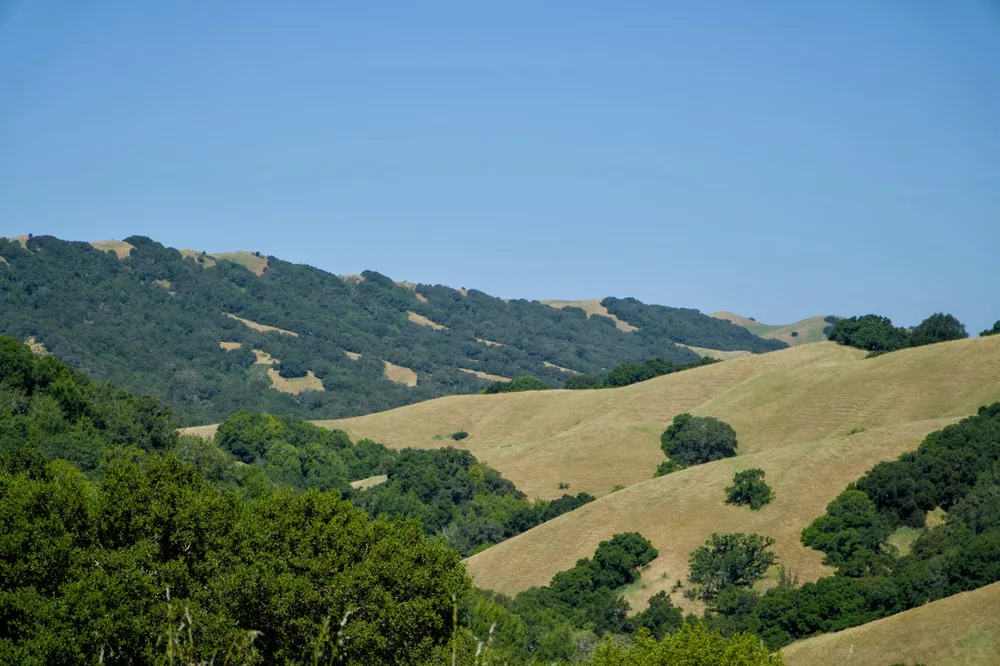 A hilly area with trees and hills in the background