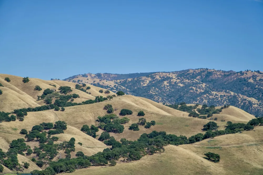 A hilly area with trees and mountains in the background
