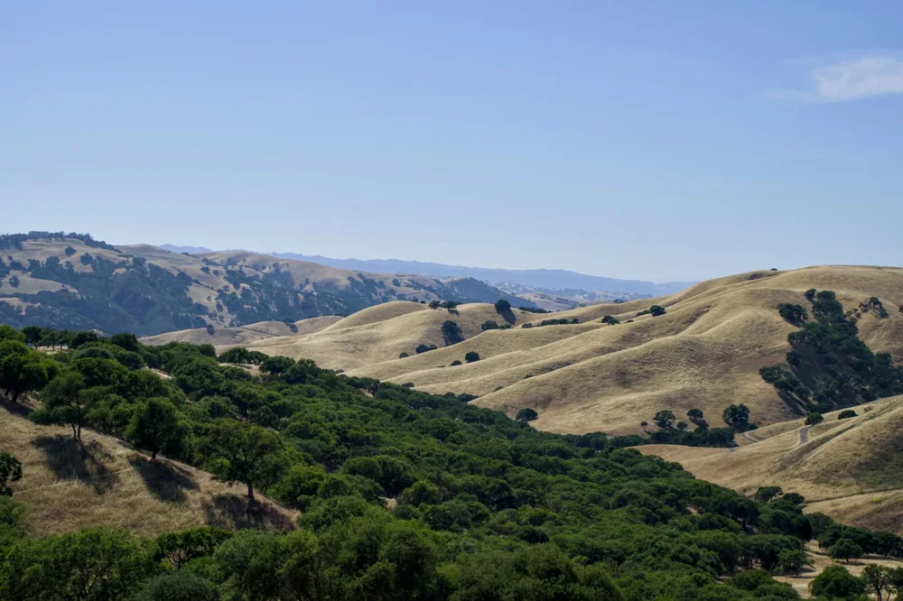 A hilly area with trees and mountains in the background