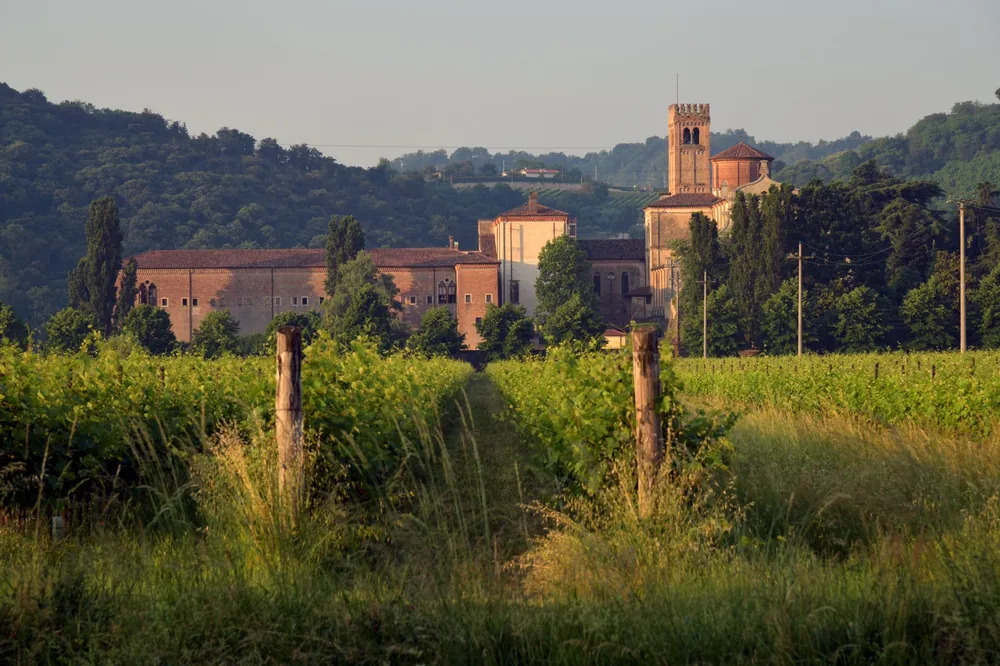 A historic abbey surrounded by a lush vineyard in the countryside