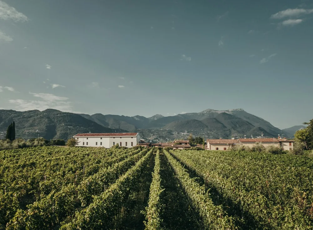 A house in the middle of a field with mountains in the background
