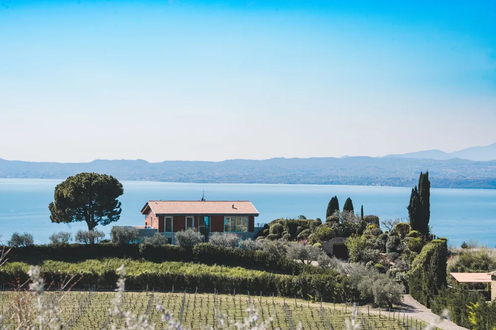A lakeside house surrounded by vineyards under a clear blue sky