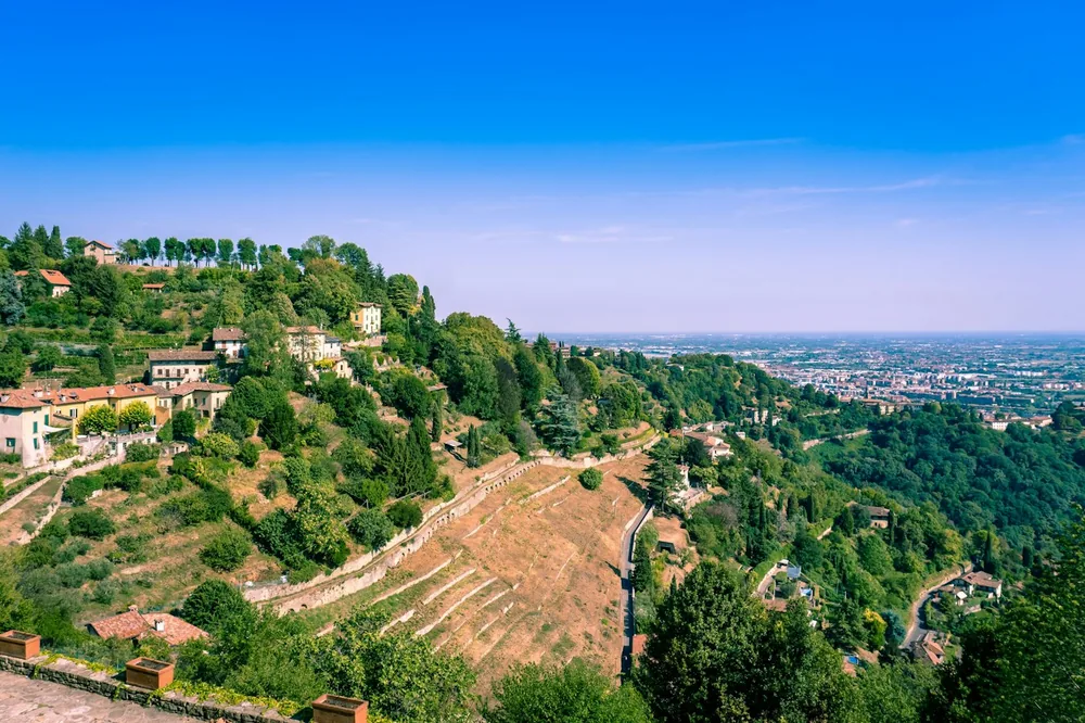 A landscape with trees and buildings