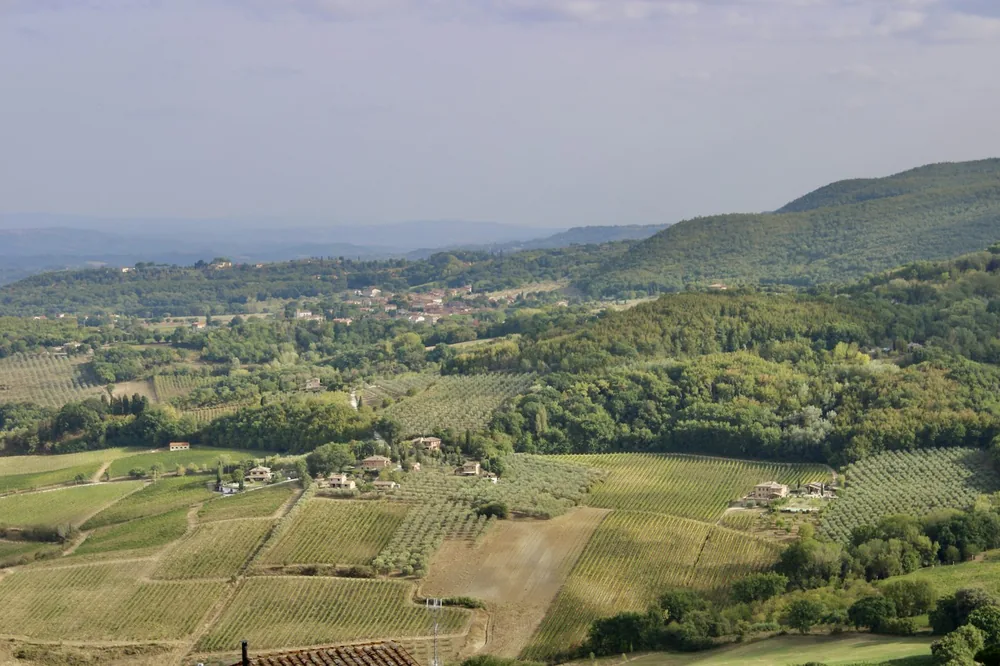 A landscape with trees and buildings