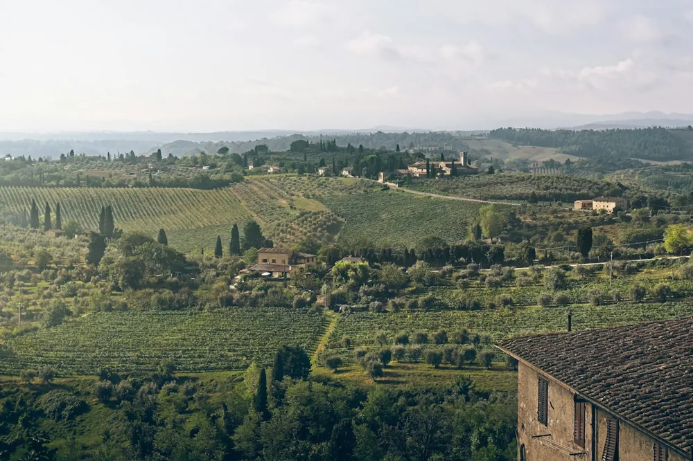 A landscape with trees and buildings