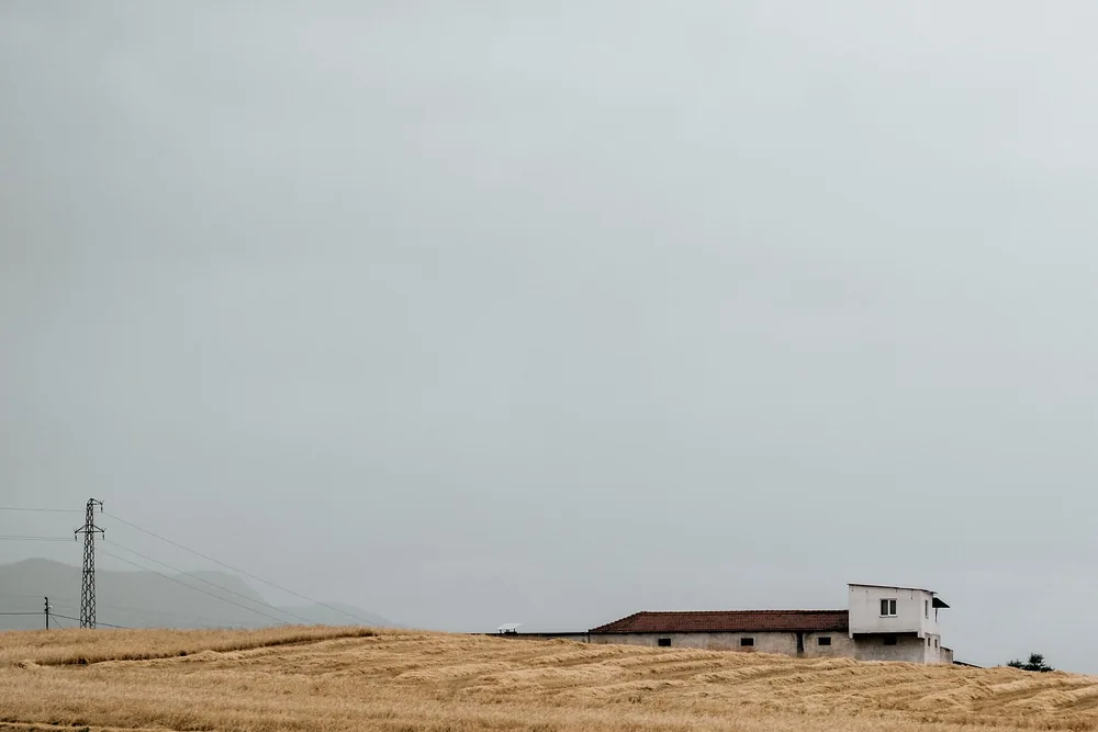 A lonely rural house in a wheat field under an overcast sky