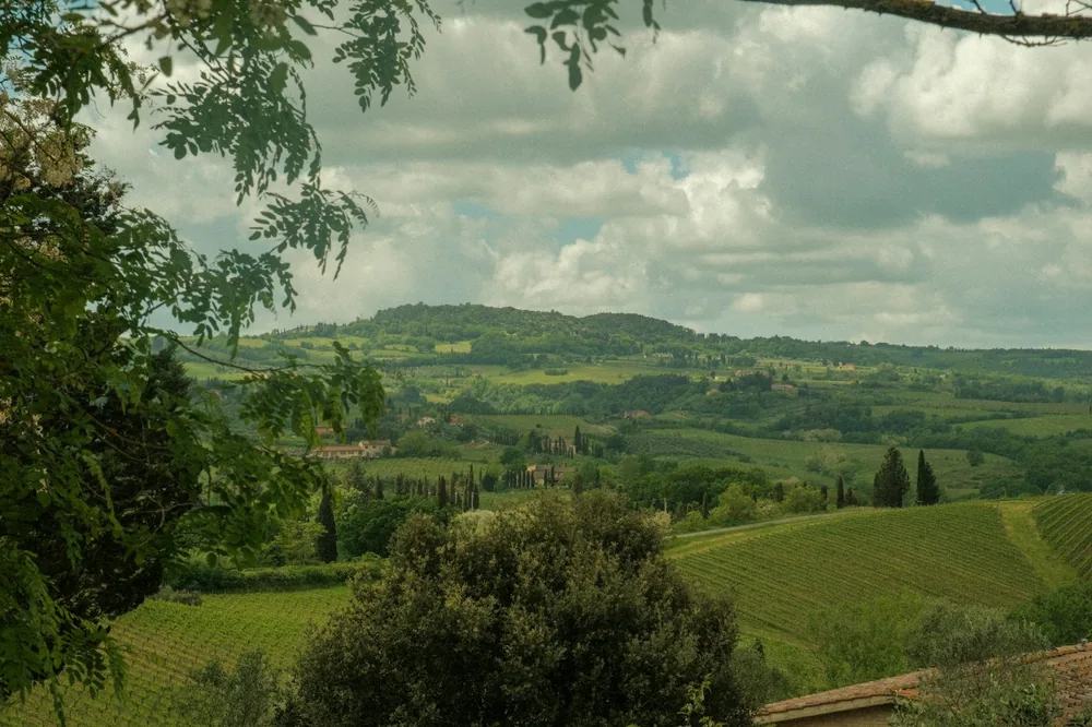 A lush green countryside under a cloudy sky