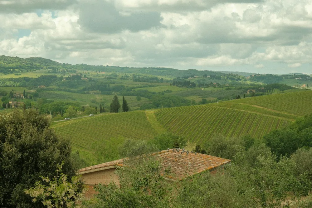 A lush green countryside with hills in the distance