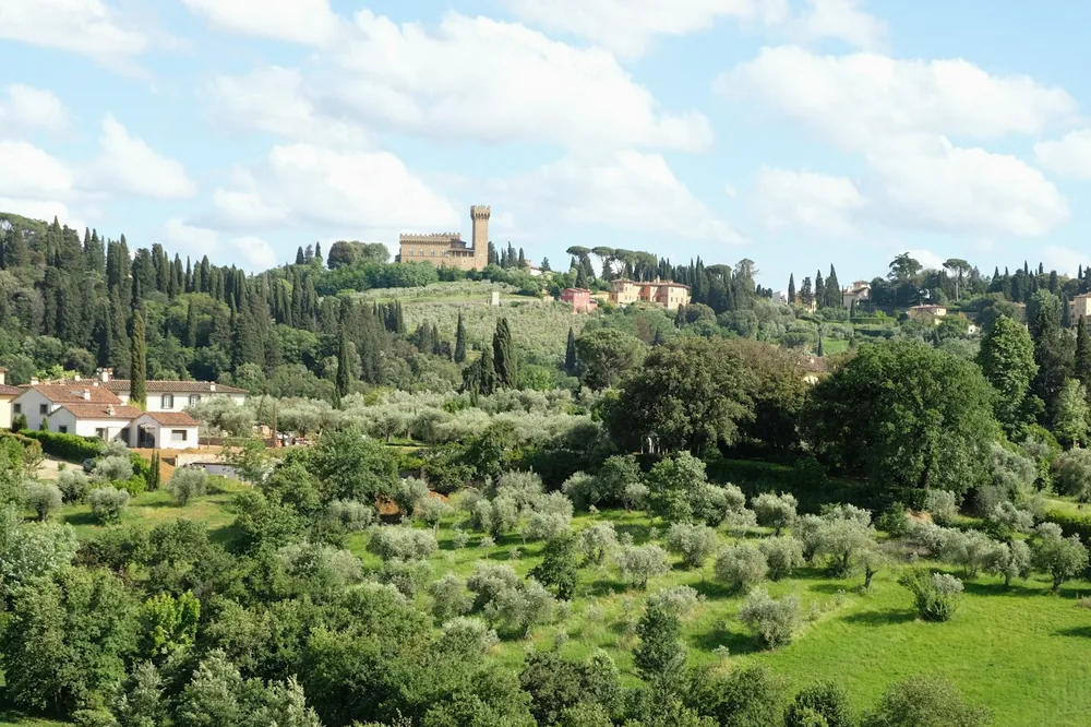 A lush green field surrounded by trees and buildings