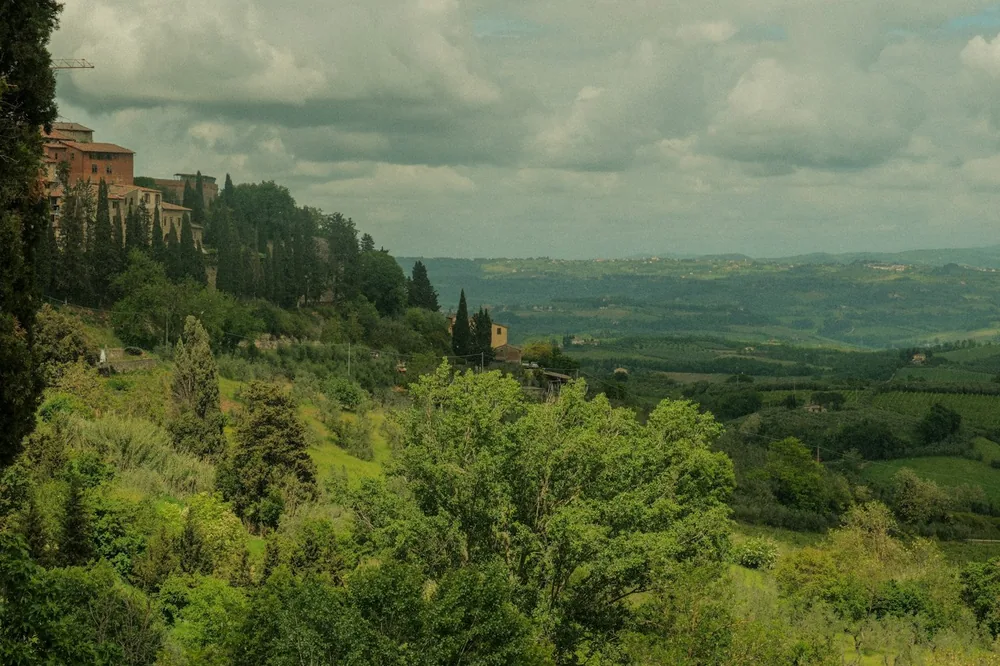 A lush green hillside covered in lots of trees