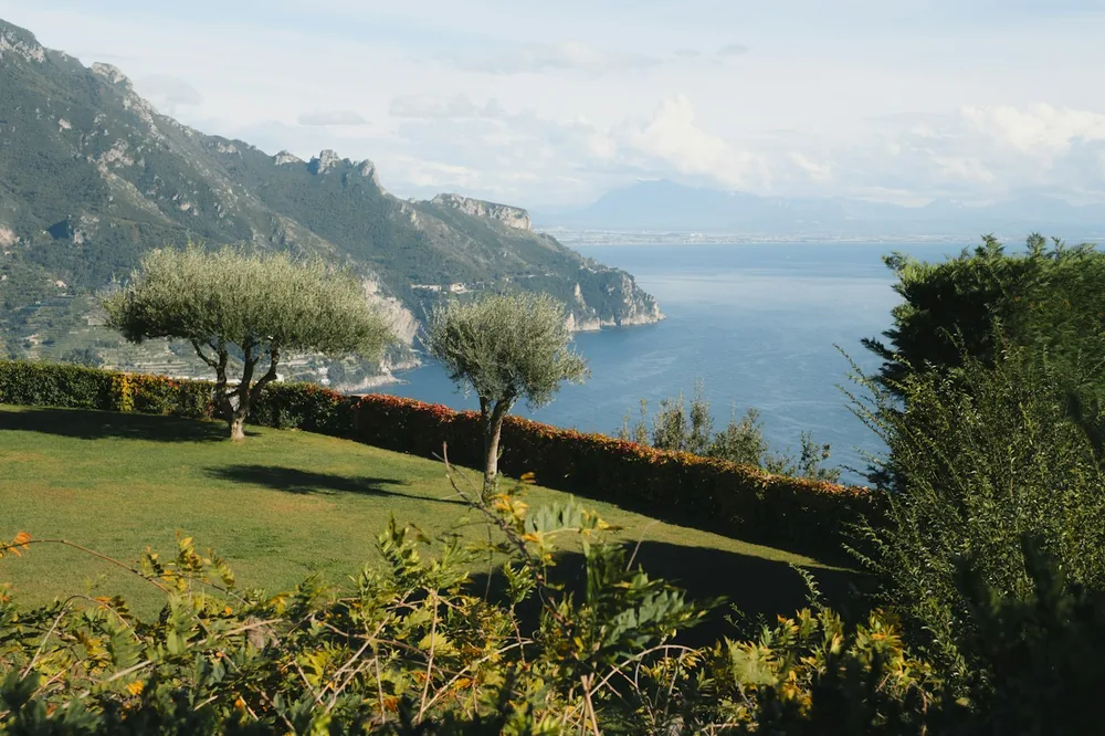 A lush green hillside next to a body of water