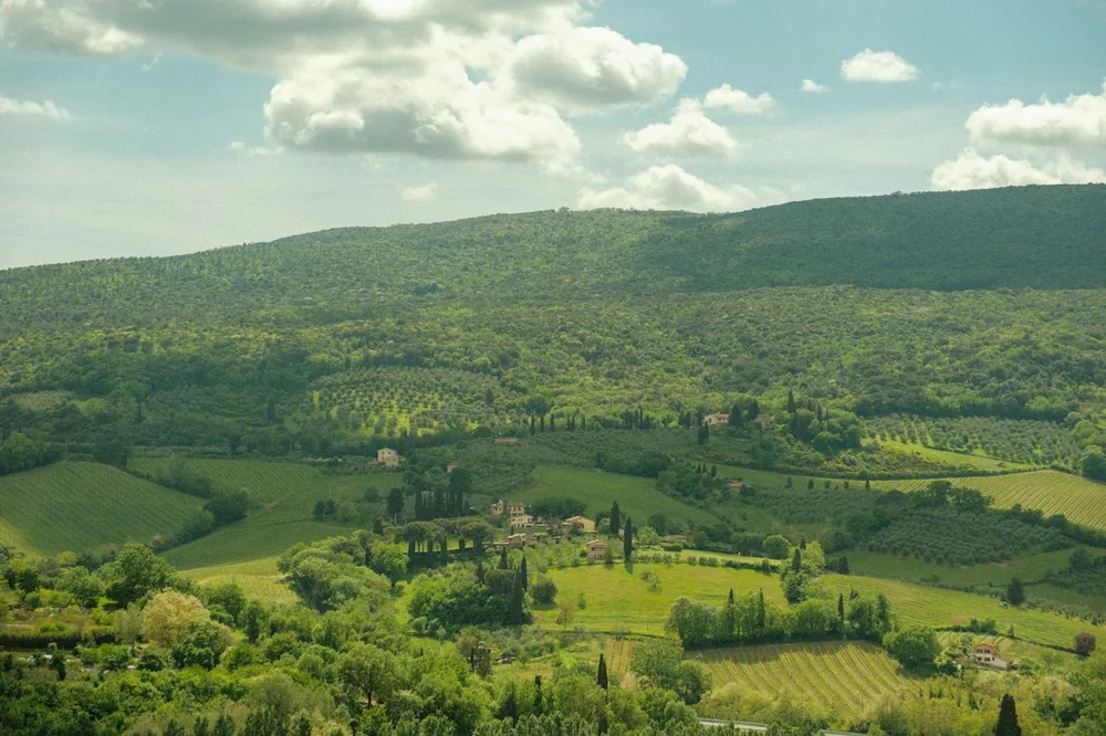 A lush green valley surrounded by lush green hills