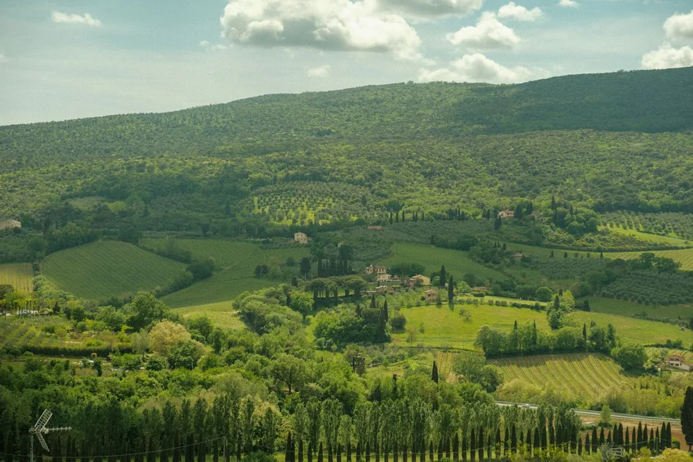 A lush green valley surrounded by lush green hills