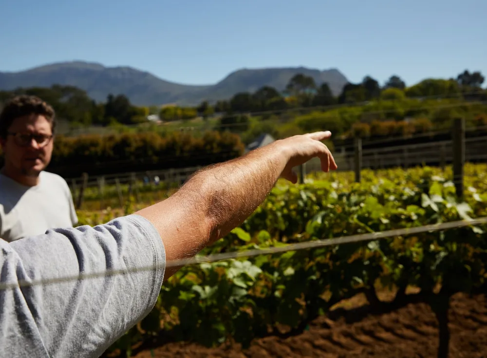A man pointing at a vineyard set against a backdrop of mountains on a sunny day