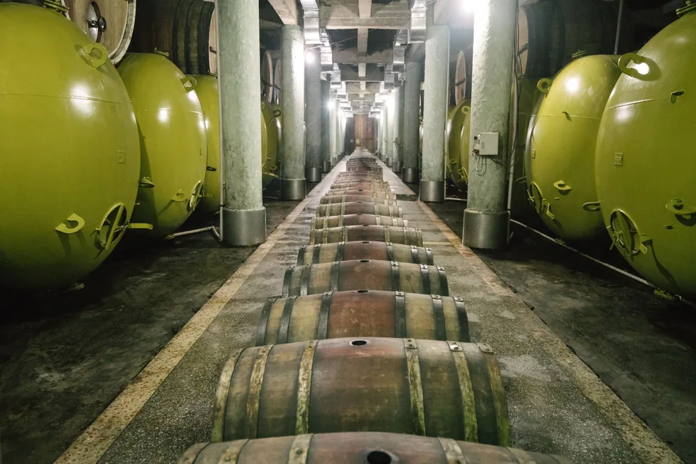 A modern wine cellar featuring rows of wooden barrels and large green storage tanks