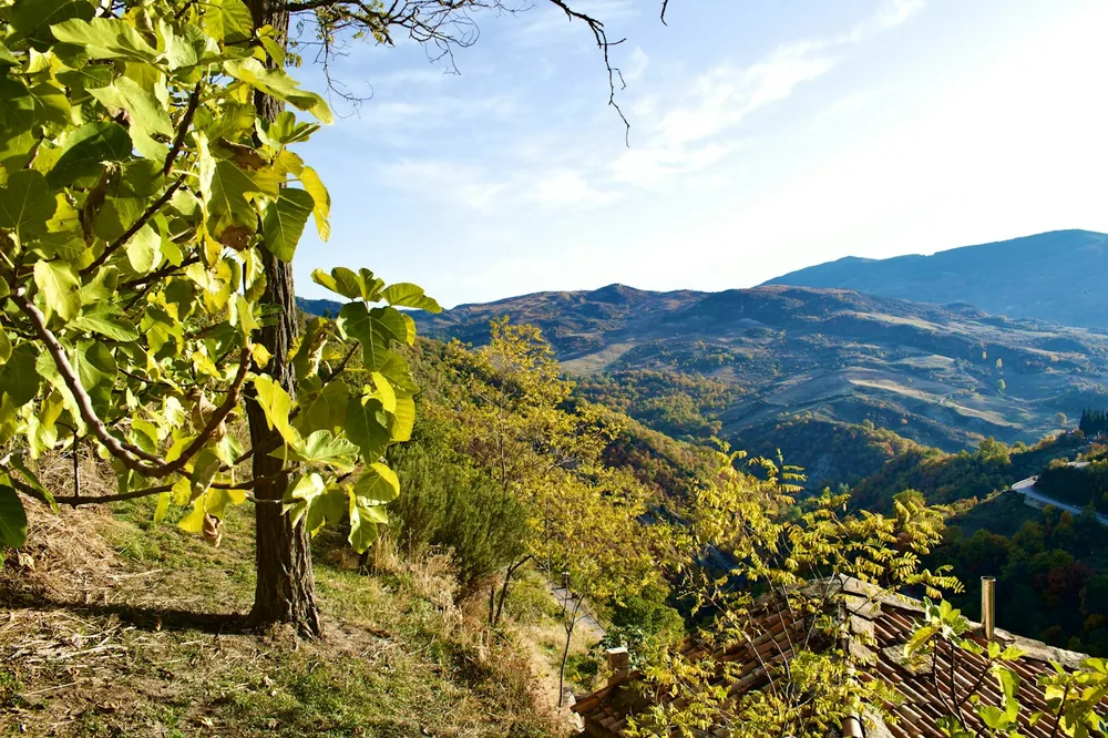 A mountain range from a hillside