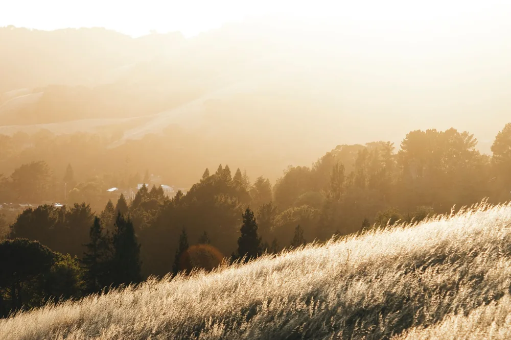 A peaceful golden sunrise over rolling countryside hills with trees and grass fields, capturing nature's tranquility