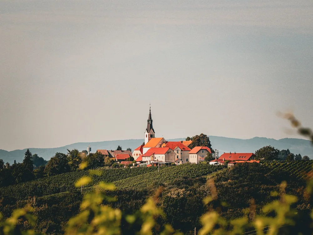 A quaint hilltop village with a church surrounded by vineyards and greenery